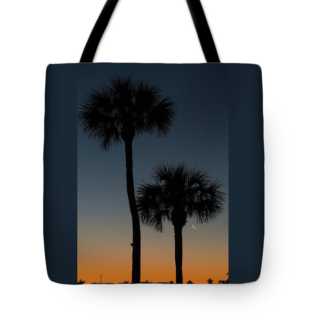 Florida Tote Bag featuring the photograph Crescent Moon Palm Dawn Delray Beach Florida by Lawrence S Richardson Jr
