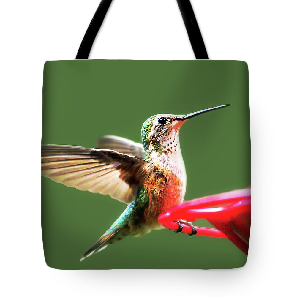 Wildlife Tote Bag featuring the photograph Crested Butte Hummingbird by Scott Cordell
