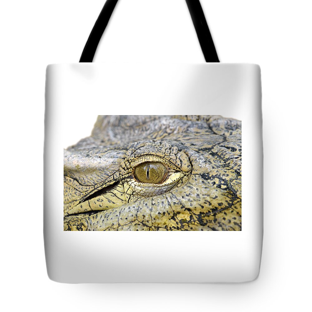 Crocodile Tote Bag featuring the photograph Crocodile eye by George Atsametakis