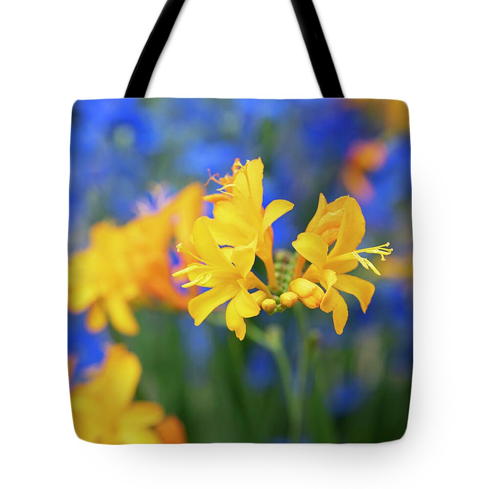 Crocosmia Pauls Best Yellow Tote Bag featuring the photograph Crocosmia Pauls Best Yellow Flower by Tim Gainey