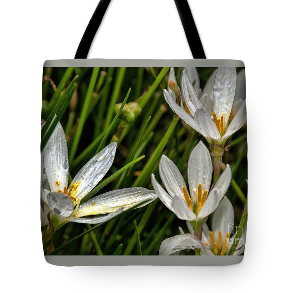White Tote Bag featuring the photograph Crocus White Flowers by Diana Mary Sharpton