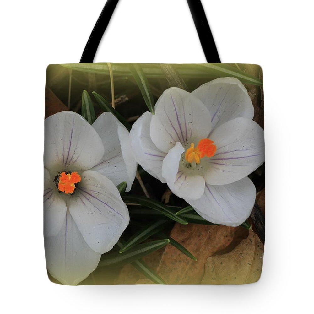 Spring Tote Bag featuring the photograph Crocuses by Rick Rauzi