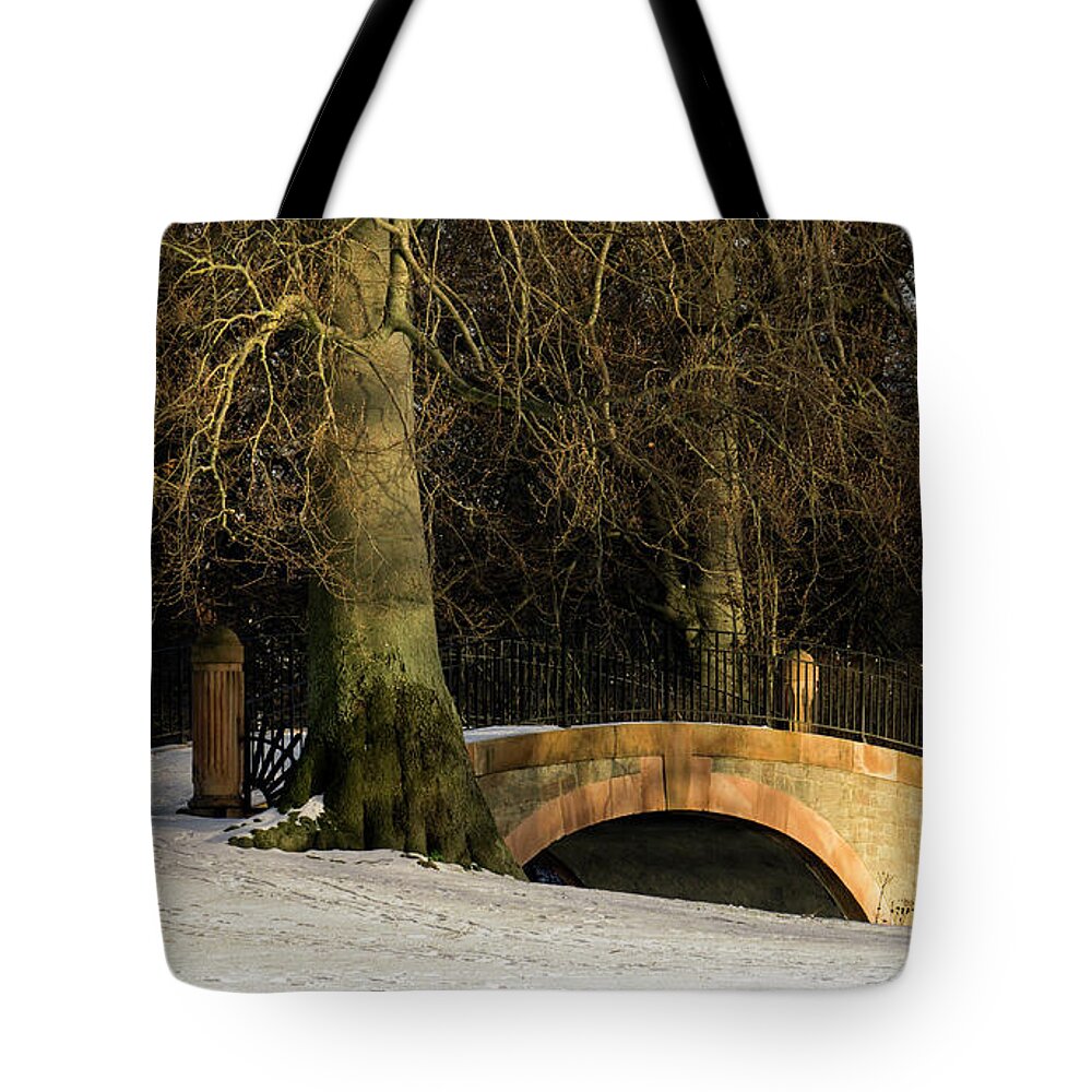 Park Tote Bag featuring the photograph Crossing - 365-278 by Inge Riis McDonald