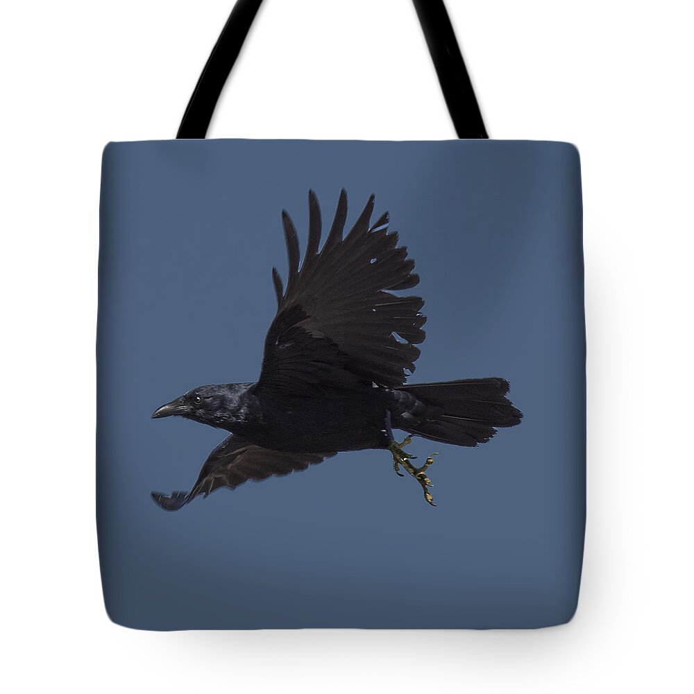 Fauna Tote Bag featuring the photograph Crow Flying by William Bitman