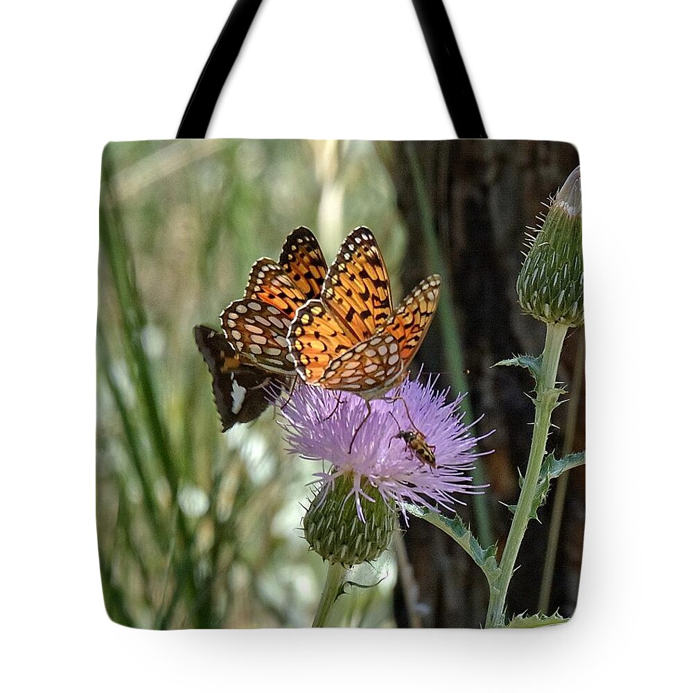 Thistle Tote Bag featuring the photograph Crowded Thistle by Fiskr Larsen