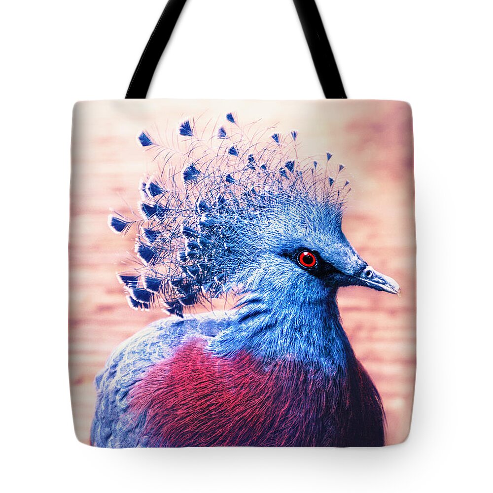 Bird Tote Bag featuring the photograph Crowned pigeon by Jaroslav Buna
