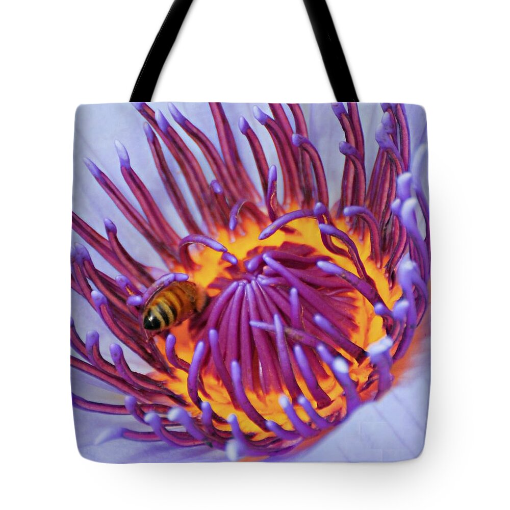 Water Lily Tote Bag featuring the photograph Crowning Glory by Diana Angstadt
