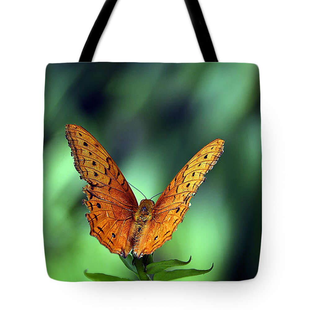 Cruiser Tote Bag featuring the photograph Cruiser by Andrei SKY