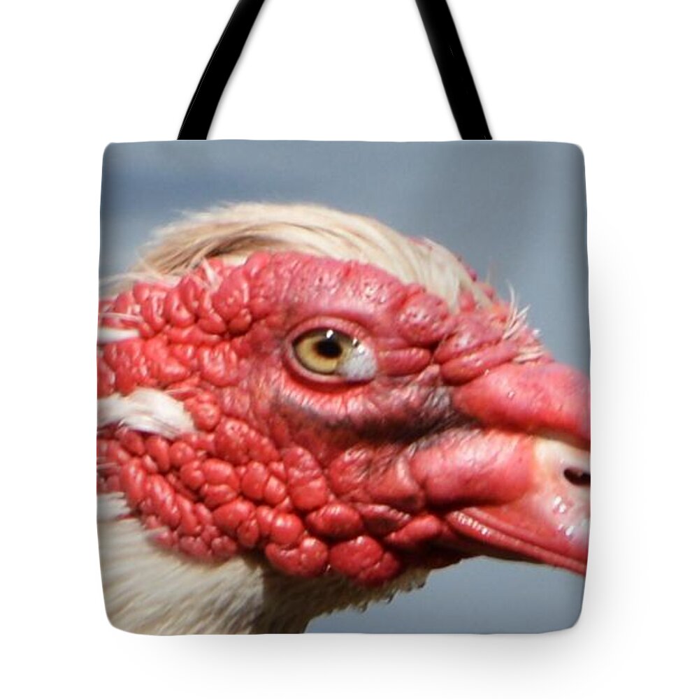 Geese Tote Bag featuring the photograph Crying Goose by Dani McEvoy