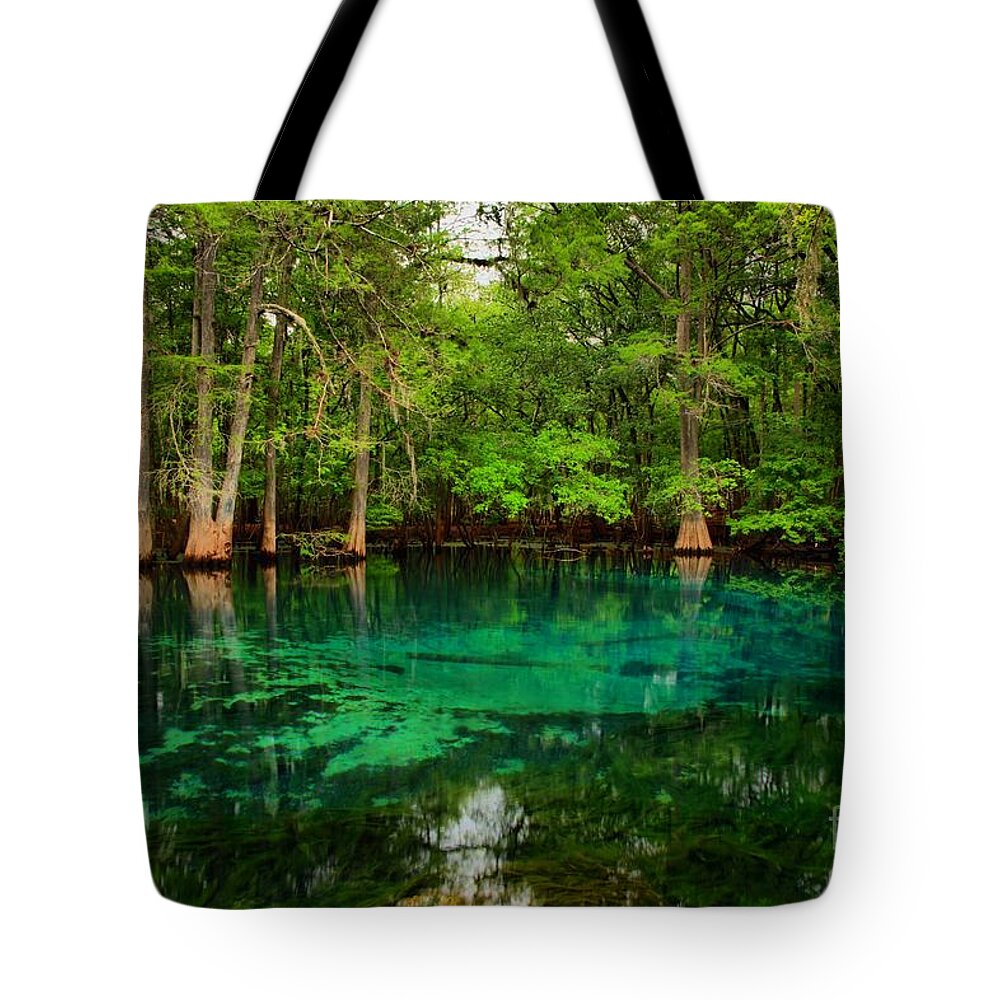 Manatee Spring Tote Bag featuring the photograph Crystal Blue Manatee Spring Waters by Adam Jewell