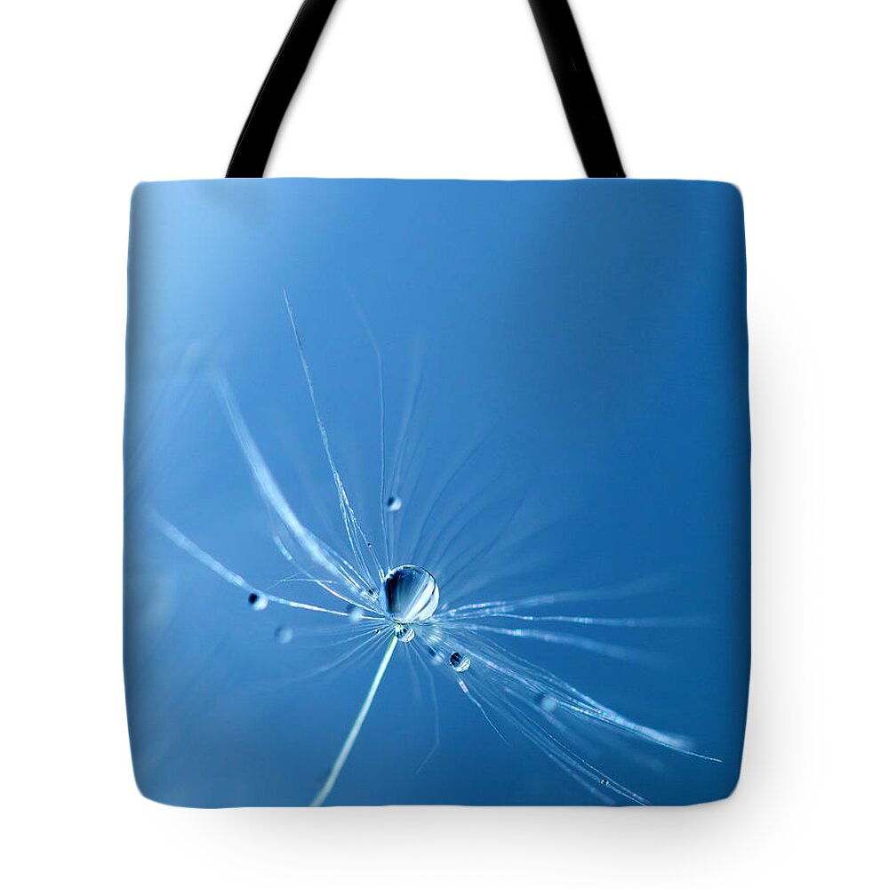 Dandelions Tote Bag featuring the photograph Crystal Clear by Rebecca Cozart