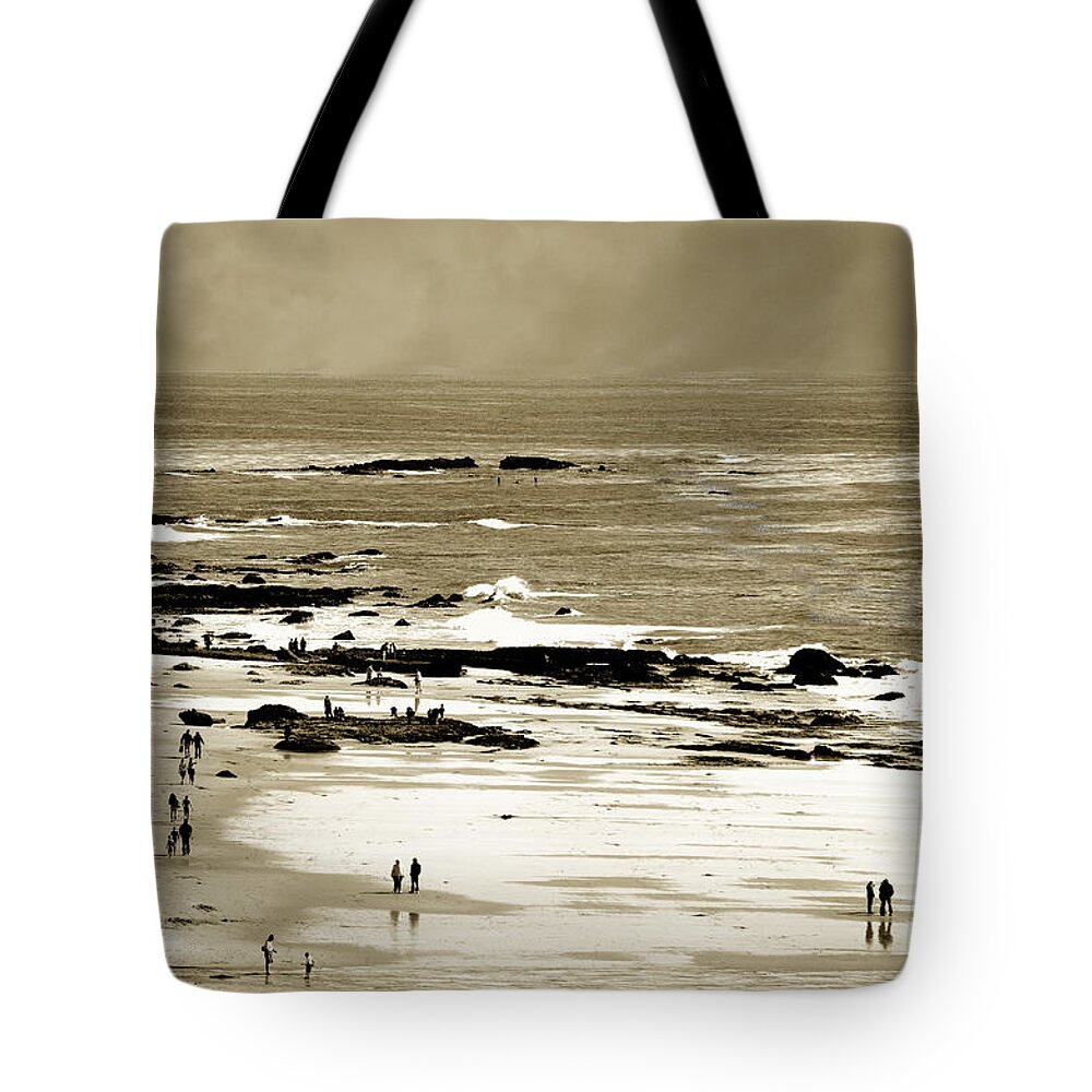 Beach Tote Bag featuring the photograph Crystal Cove Social by Joseph Hollingsworth