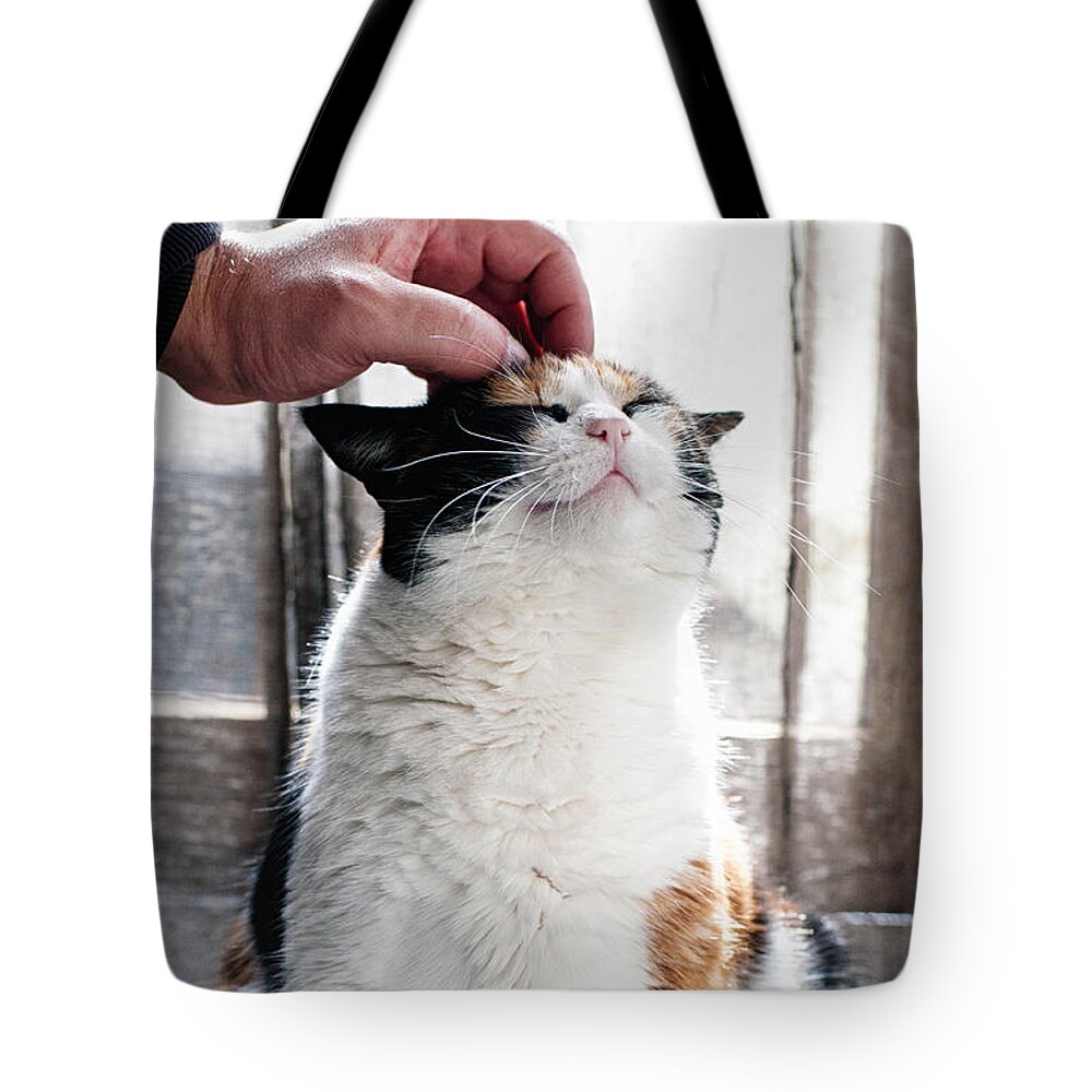 Cat Tote Bag featuring the photograph Cuddles by Laura Melis