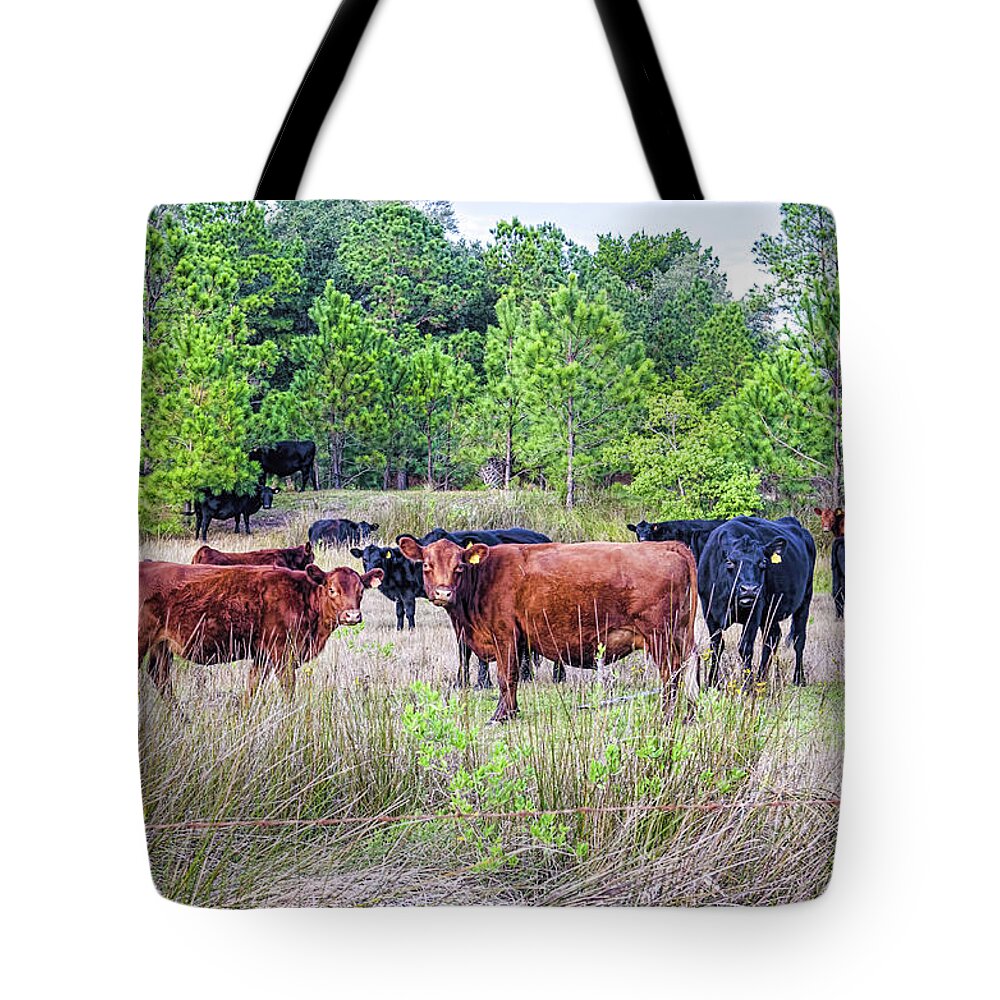Agriculture Tote Bag featuring the photograph Curiosity by Scott Hansen