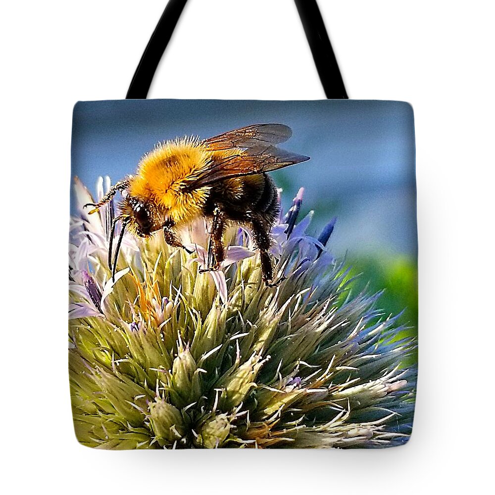 Sea Tote Bag featuring the photograph Curious Bee by Michael Graham