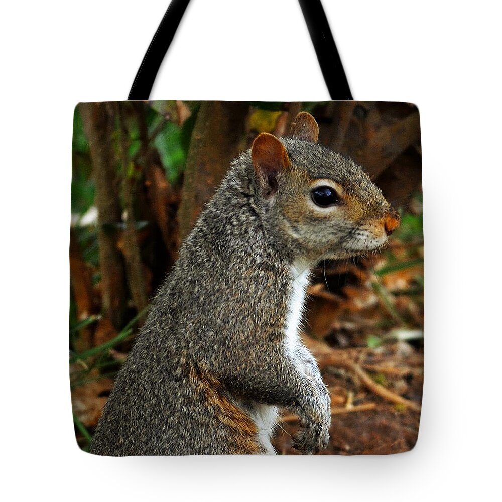  Tote Bag featuring the photograph Curious by Chuck Brown