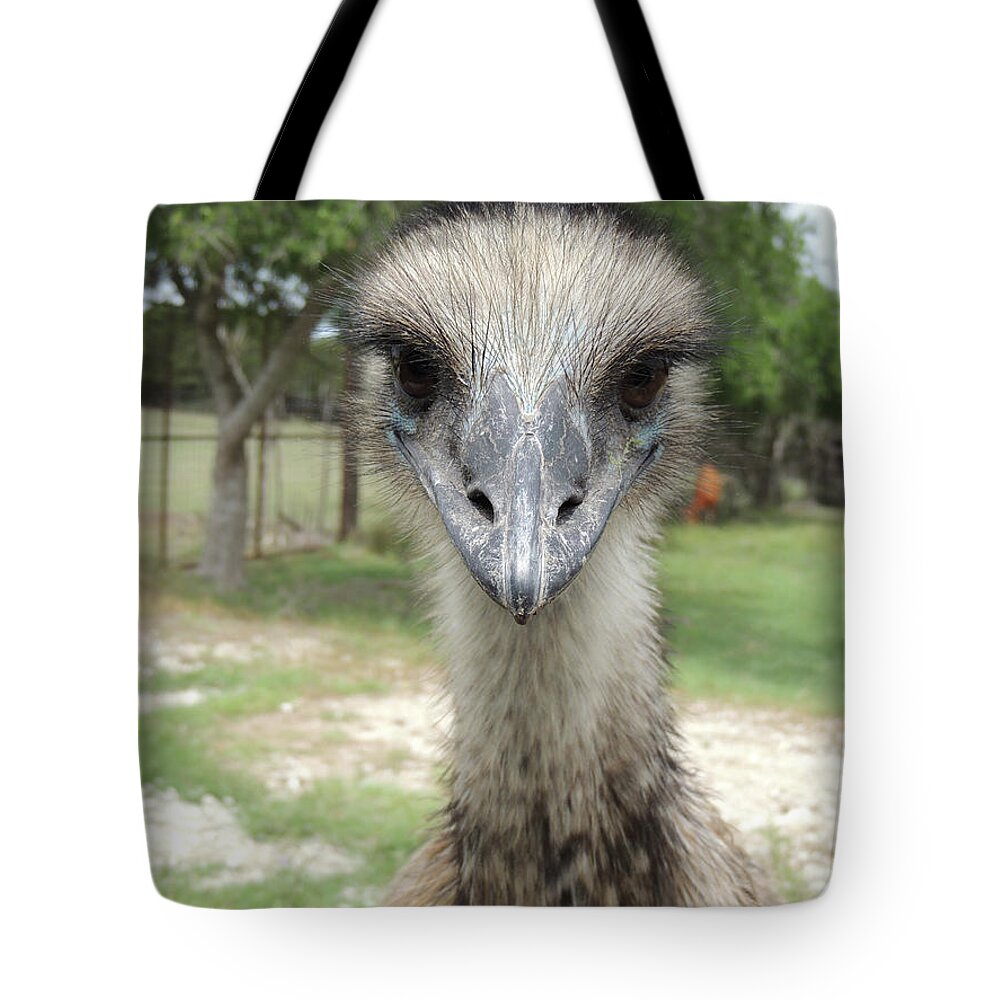 Emu Tote Bag featuring the photograph Curious Emu at Fossil Rim by Jayne Wilson