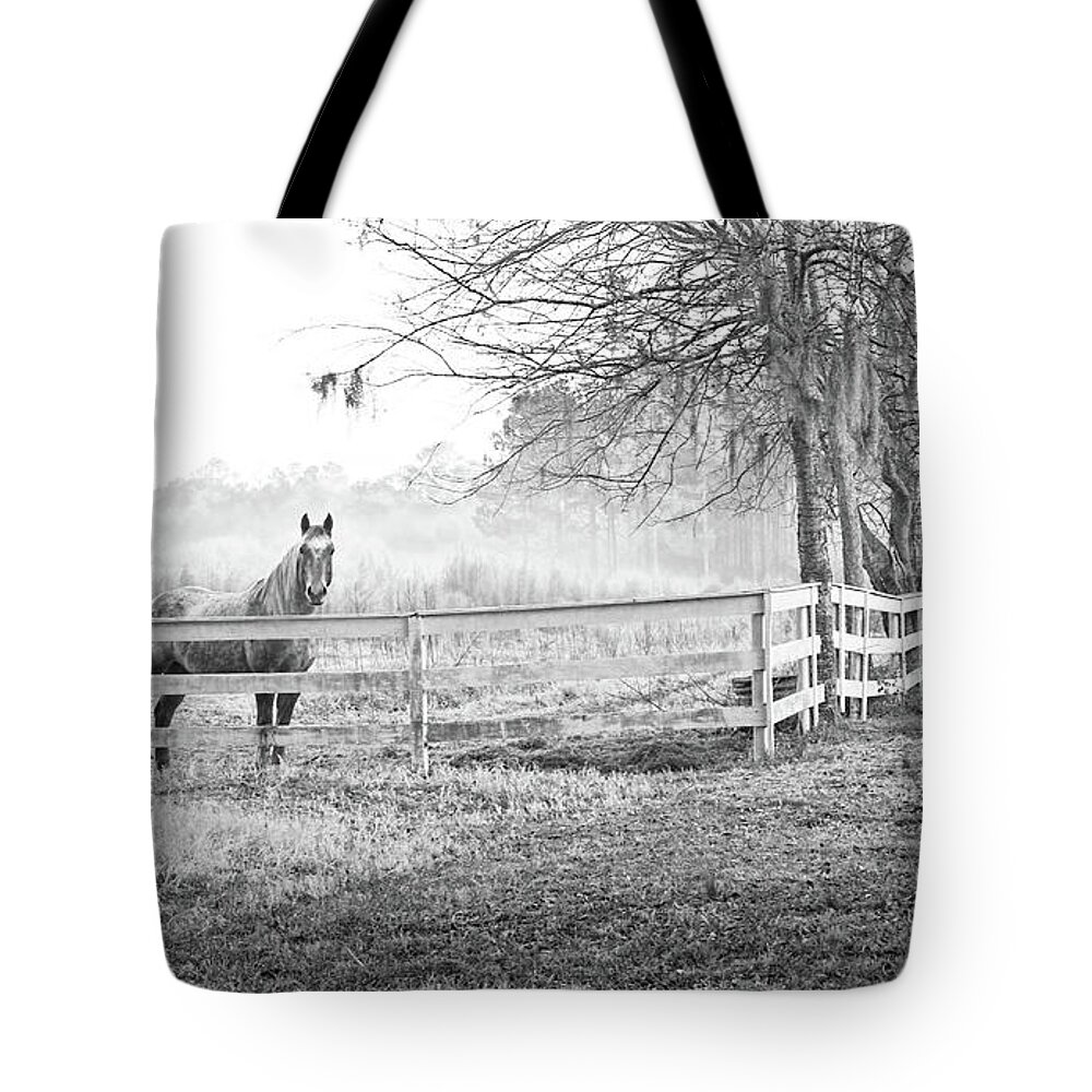 Horse Tote Bag featuring the photograph Curious Fog by Scott Hansen