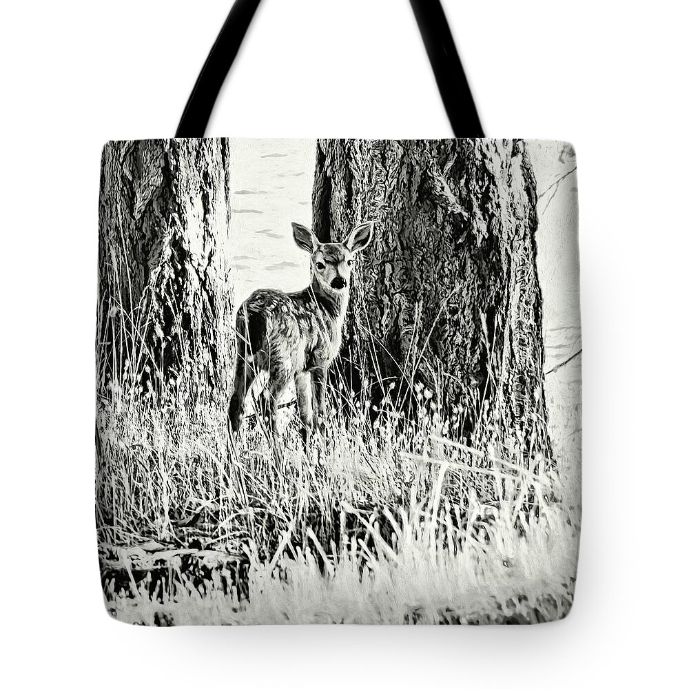 Fawn Tote Bag featuring the photograph Curious by Kathy Bassett