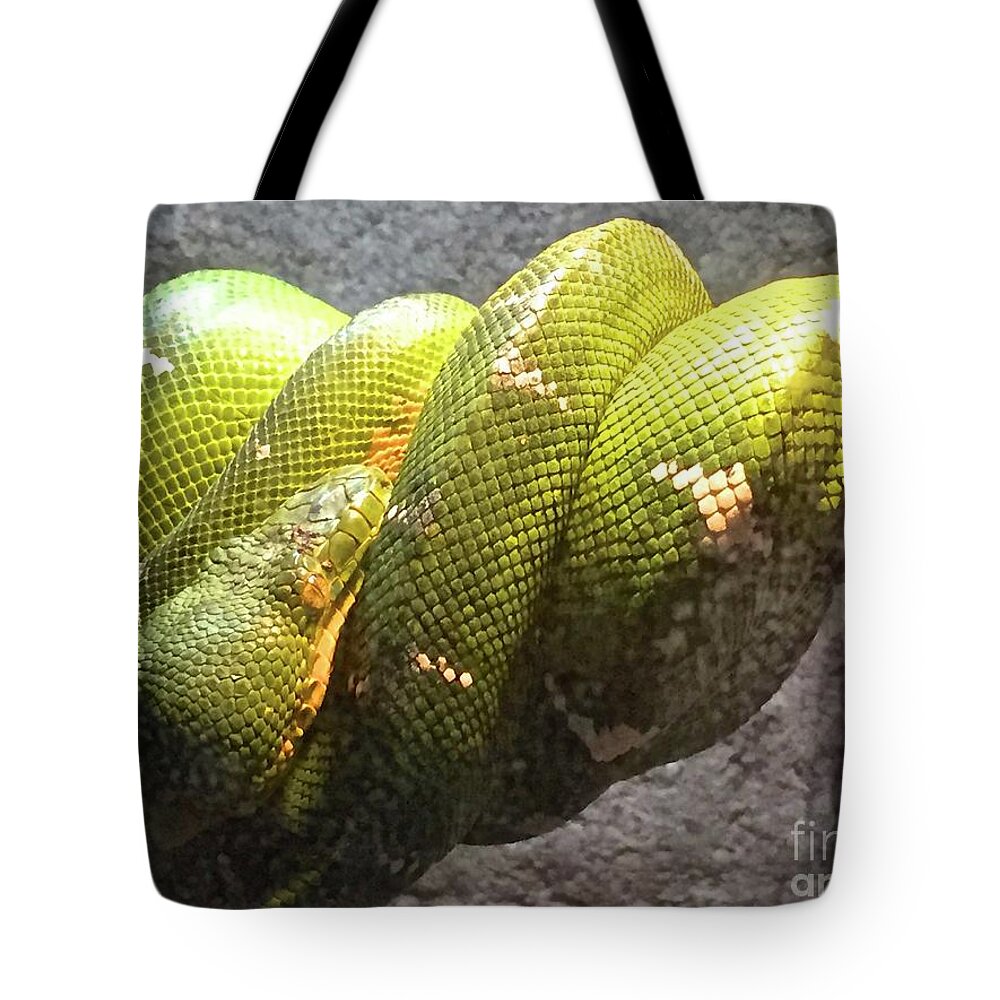 Snake Tote Bag featuring the photograph Curly by Beth Saffer