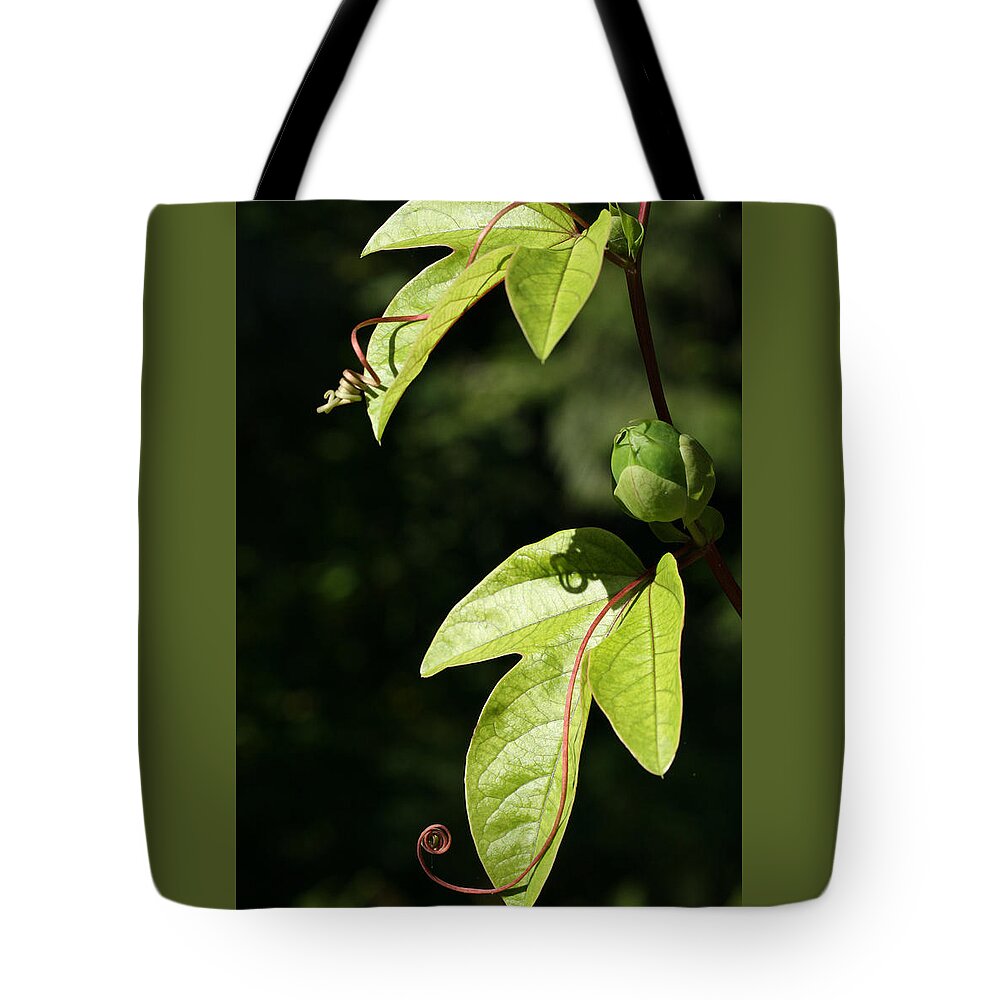 Abundant Tote Bag featuring the photograph Curly Cue Clematis by Tammy Pool