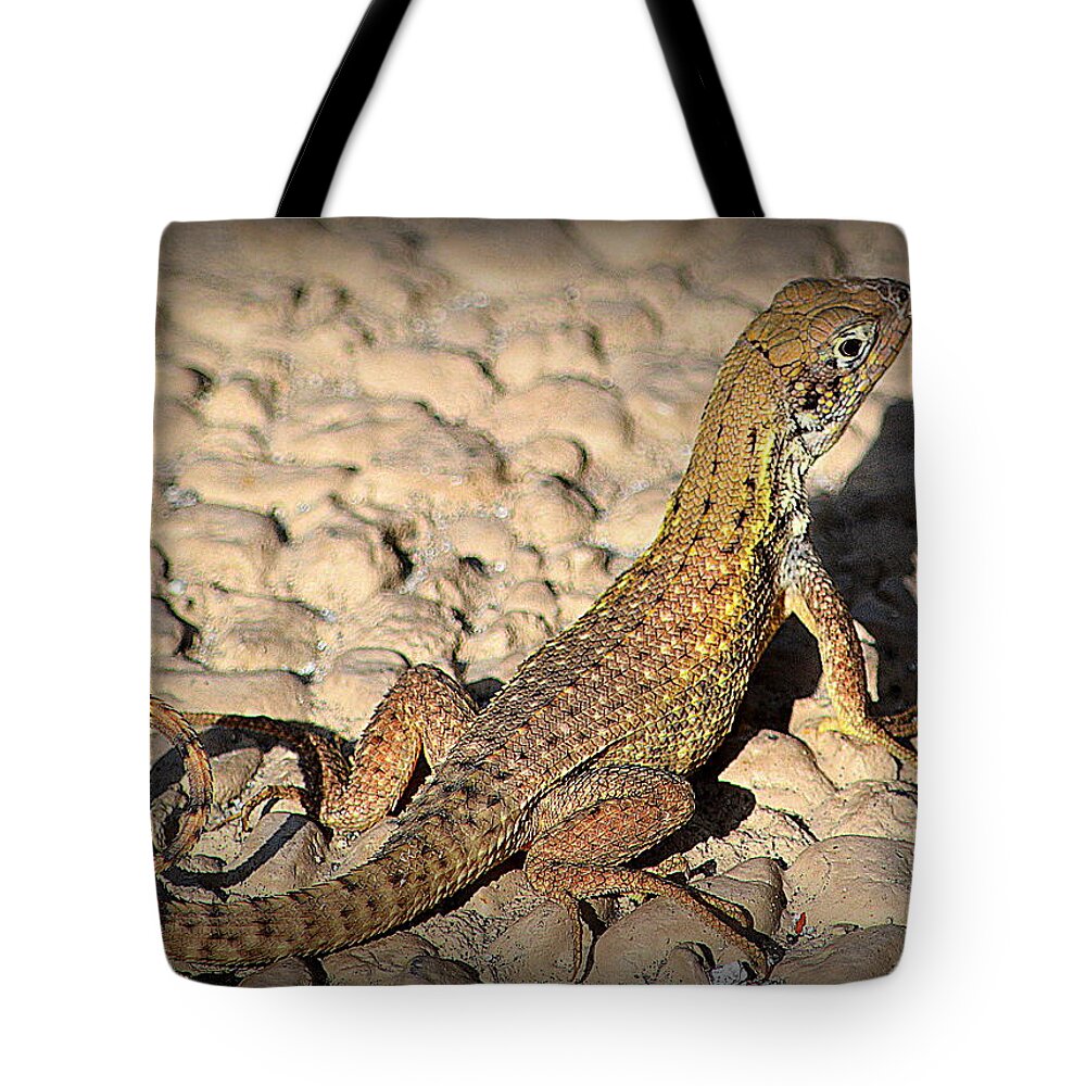  Tote Bag featuring the photograph Curly by Kimberly Woyak