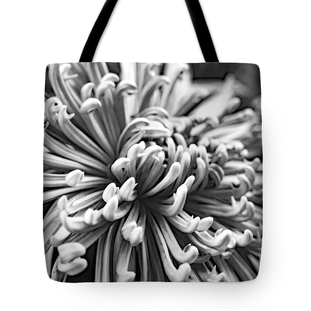 Floral Tote Bag featuring the photograph Curly by Mary Haber