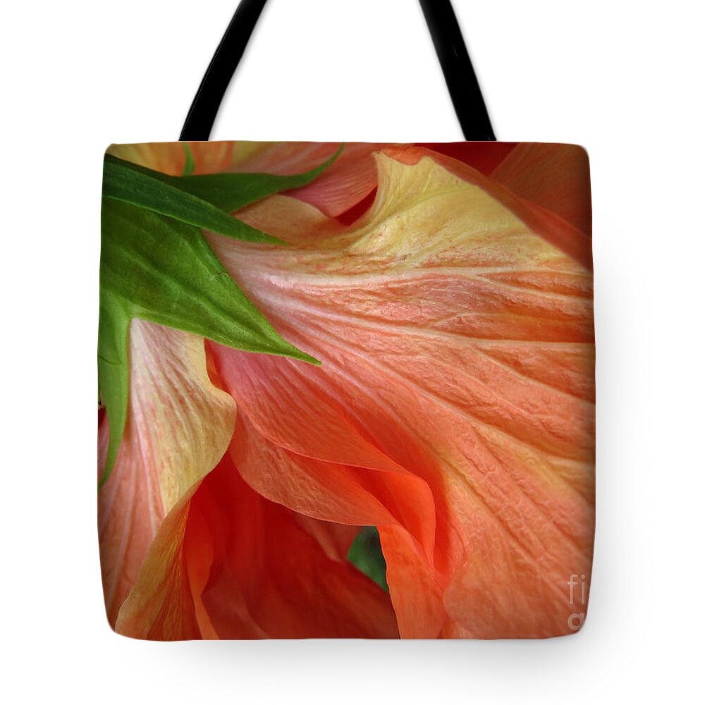 Hibiscus Tote Bag featuring the photograph Curves in Reverse by Carol Lloyd