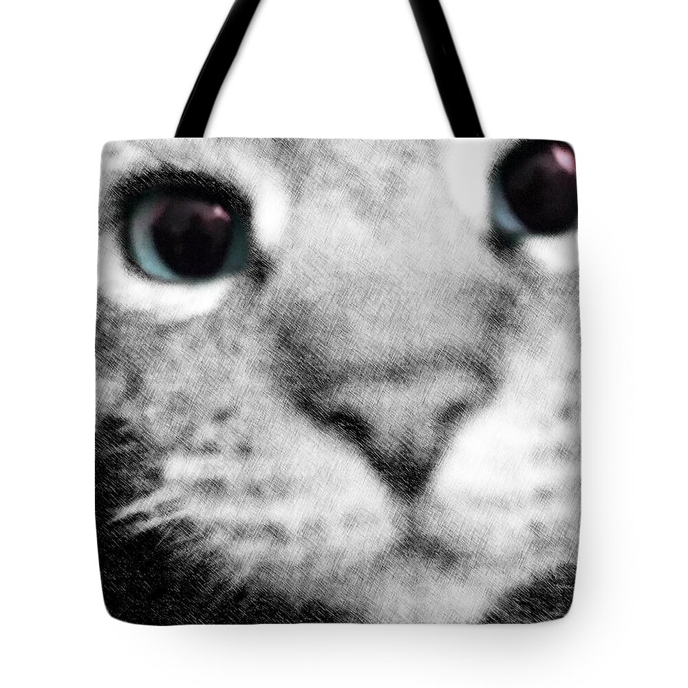 Cute Tote Bag featuring the photograph Cute Cat by Marianna Mills