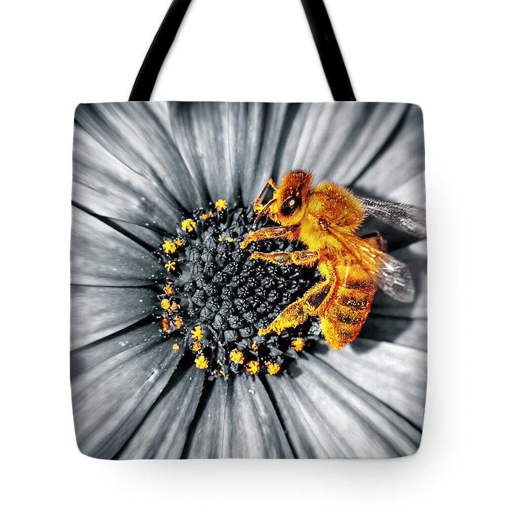 Animal Tote Bag featuring the photograph Cute little bee on a daisies flower by Anna Om