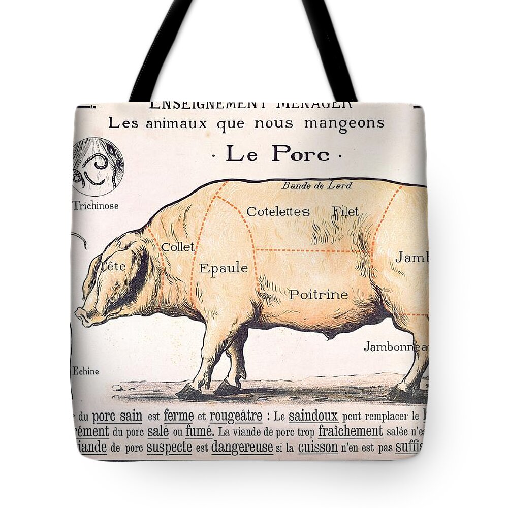 Eating;farm Animals; Cross Section; Loin; Rump; Flank; Butcher; Joint; Pig; Pigs; Shoulder; Ham; Belly; Shoulder; Diagram; Slaughter; Farming; Food Preparation; Domestic Science; Nutrition;teaching;education;home Economics; Farming; Breed;butchering Tote Bag featuring the drawing Cuts of Pork by French School