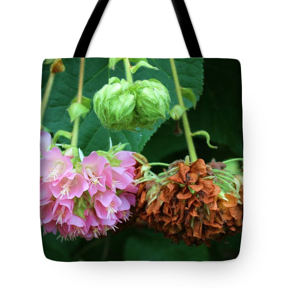 Photo For Sale Tote Bag featuring the photograph Cycle of Life by Robert Wilder Jr