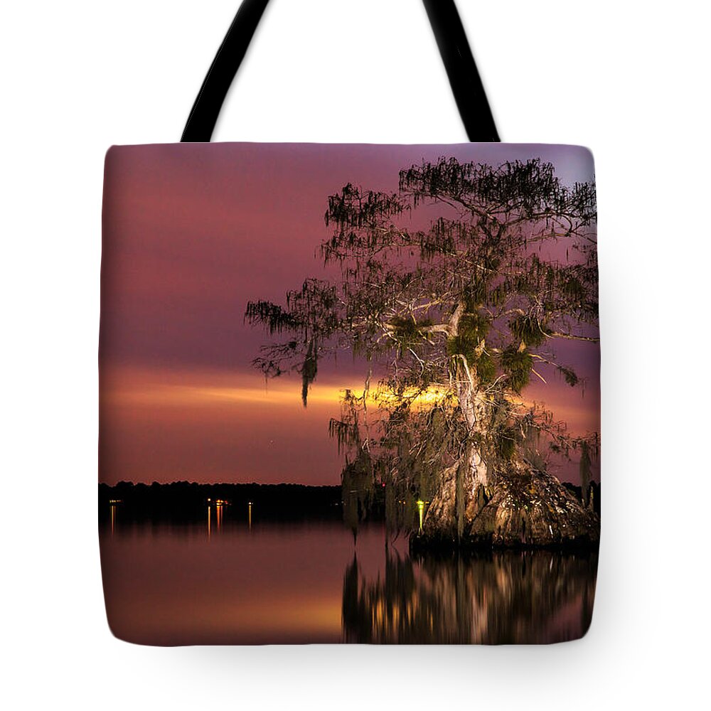 Florida Tote Bag featuring the photograph Cypress at Twilight by Stefan Mazzola