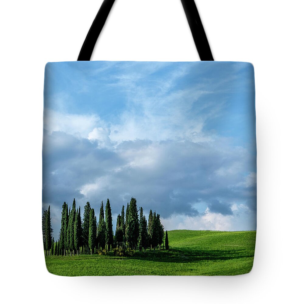 Cypress Grove Tote Bag featuring the photograph Cypress Grove by Georgette Grossman