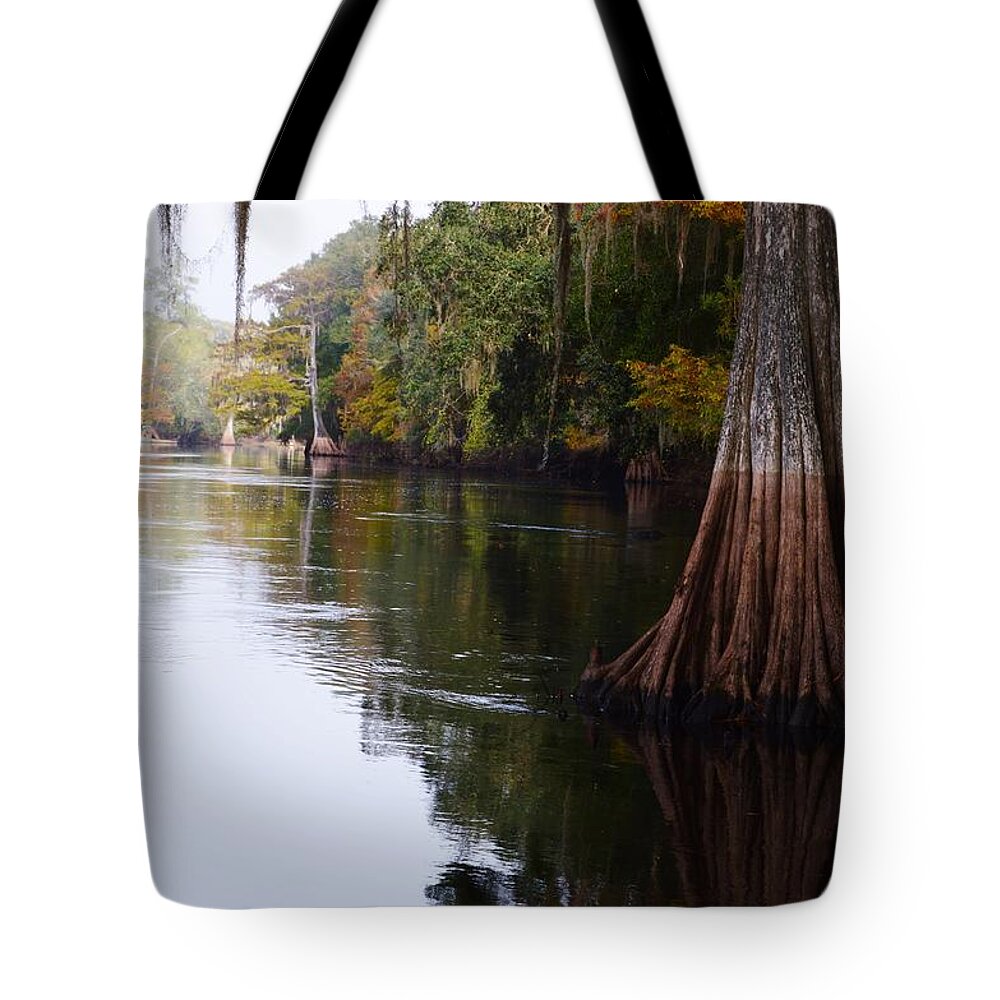 Cypress High Water Mark Tote Bag featuring the photograph Cypress High Water Mark by Warren Thompson