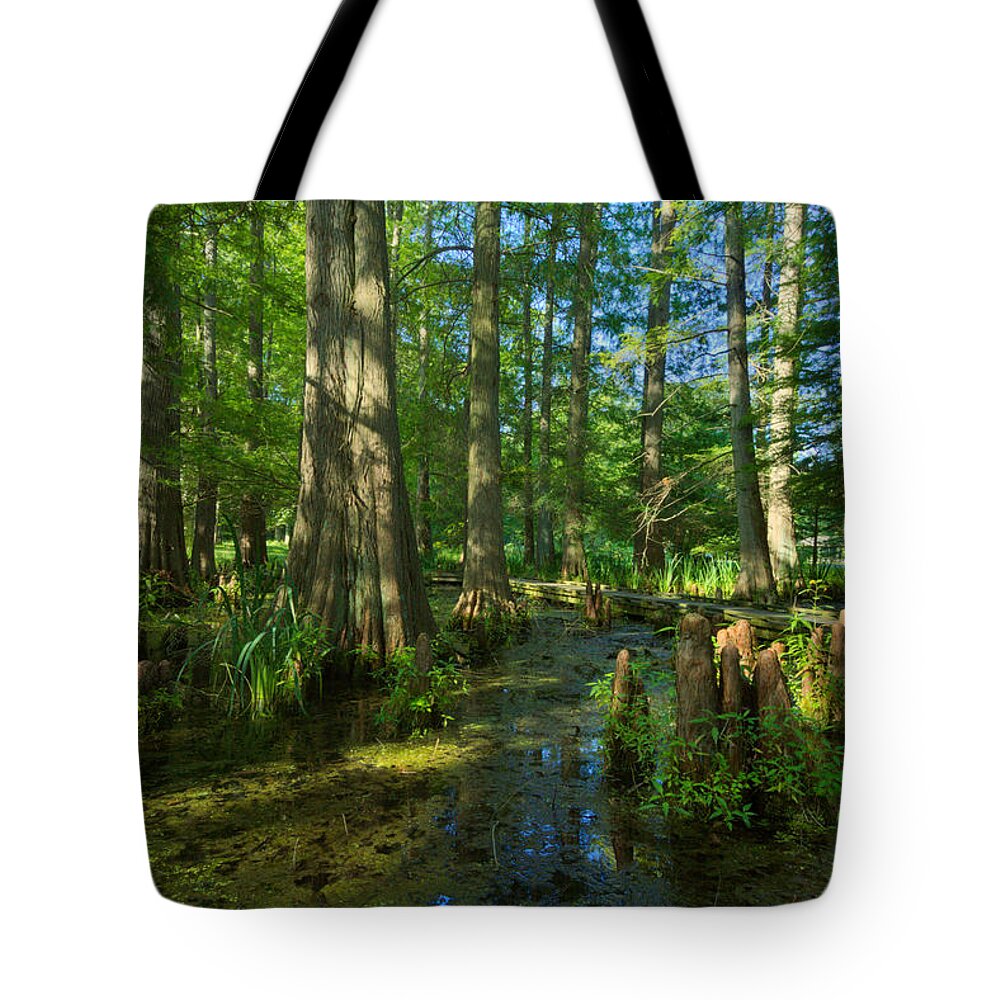 Tree Tote Bag featuring the photograph Cypress Knees by Amanda Jones