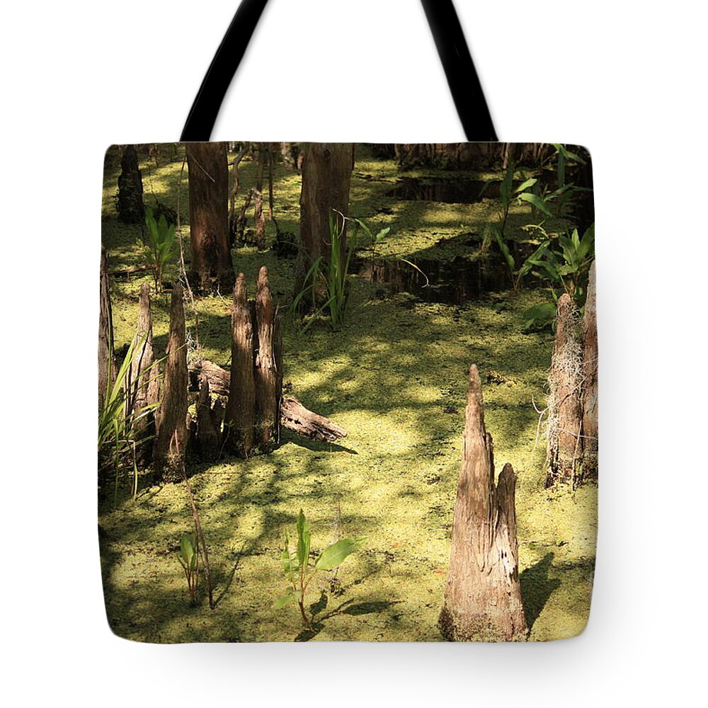 Swamps Tote Bag featuring the photograph Cypress Knees in Green Swamp by Carol Groenen