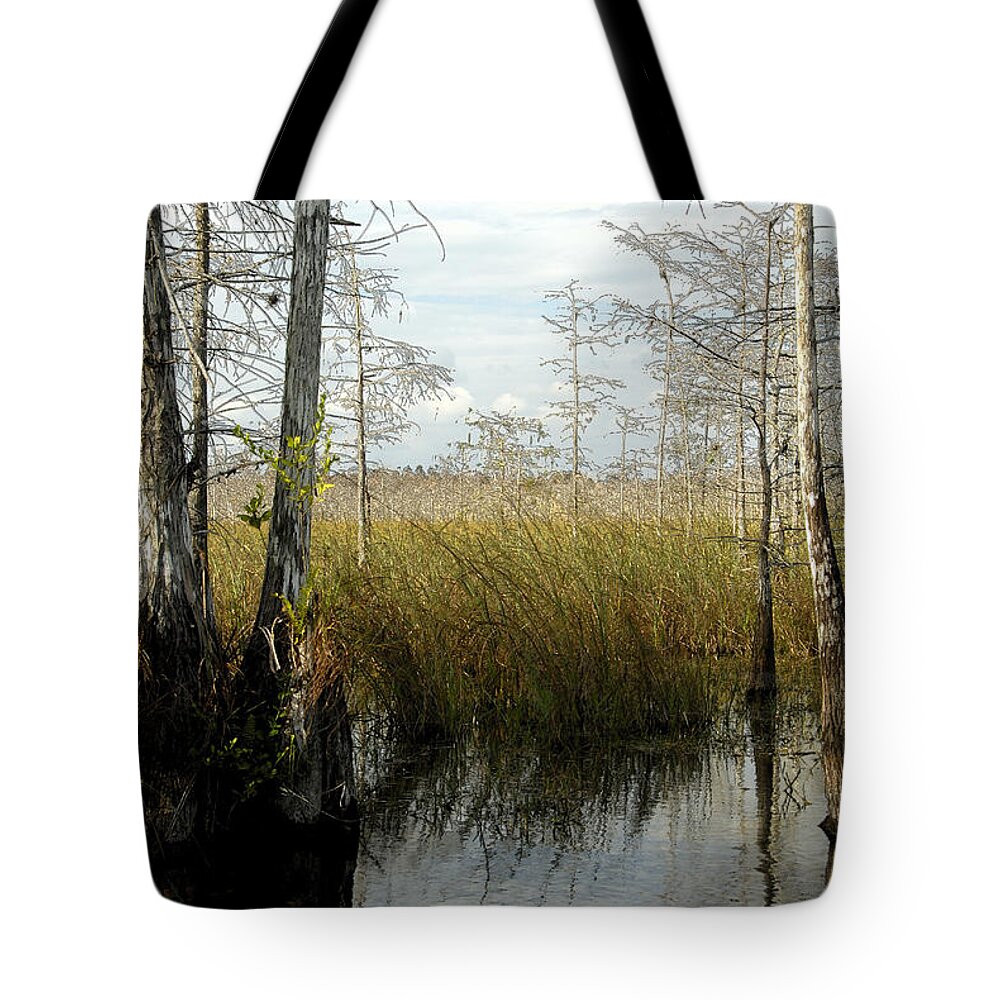 Cypress Trees Tote Bag featuring the painting Cypress landscape by David Lee Thompson