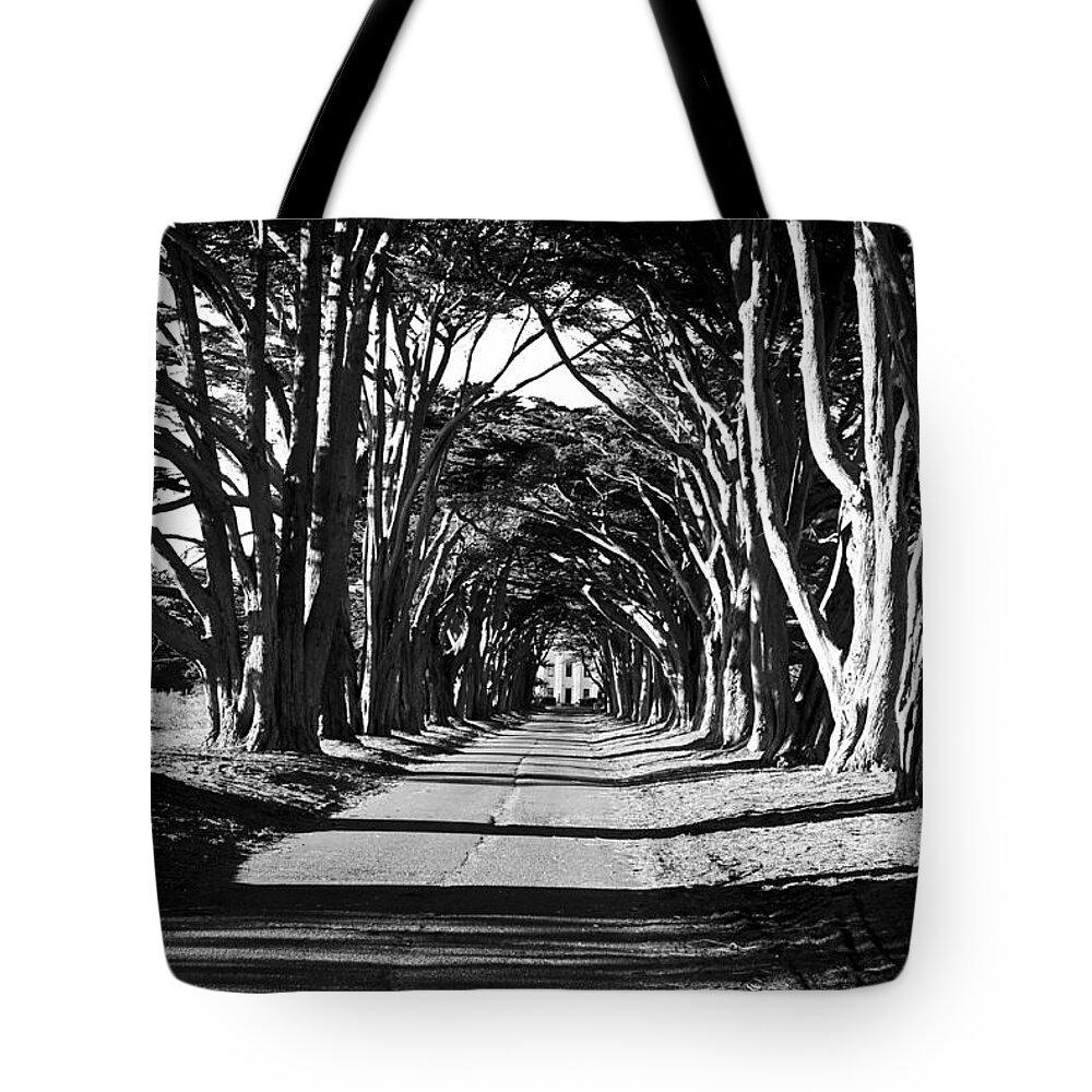 Cypress Tote Bag featuring the photograph Cypress Tree Tunnel by Brad Hodges