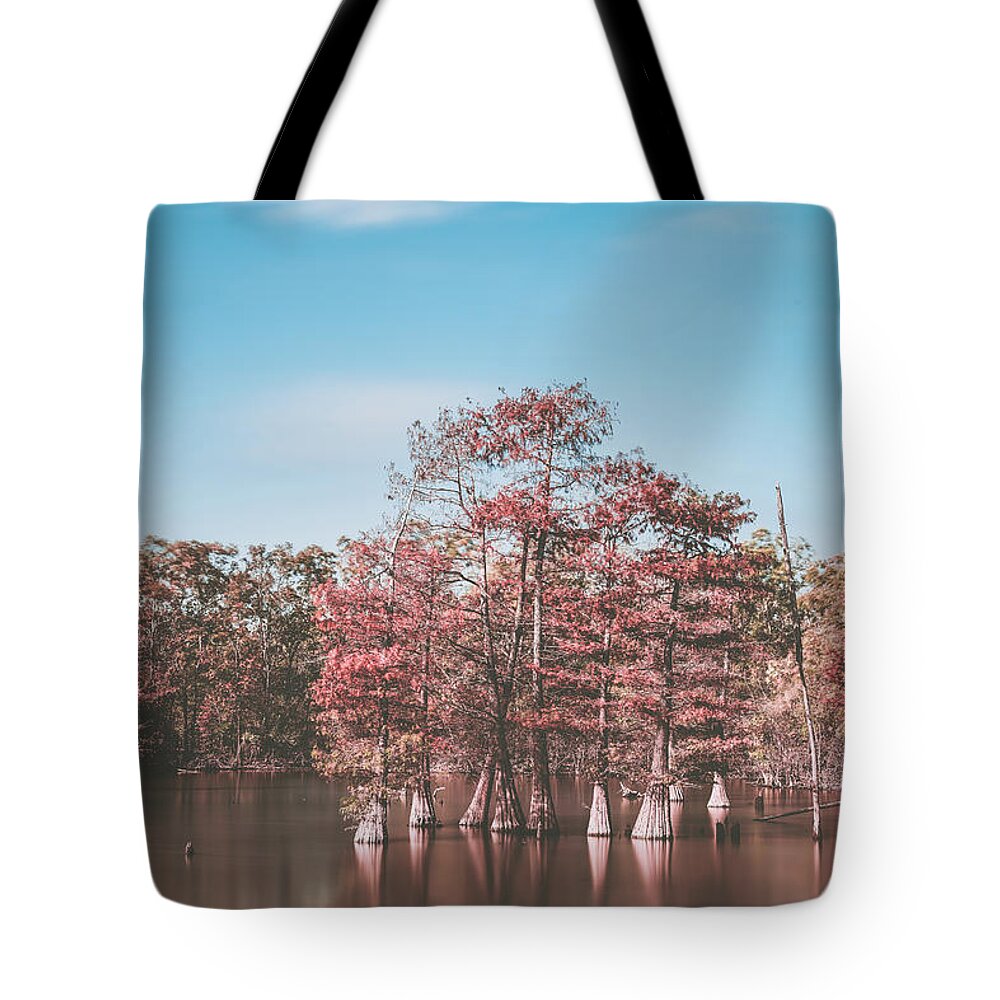 Louisiana Tote Bag featuring the photograph Cypress trees in Lake by Mati Krimerman