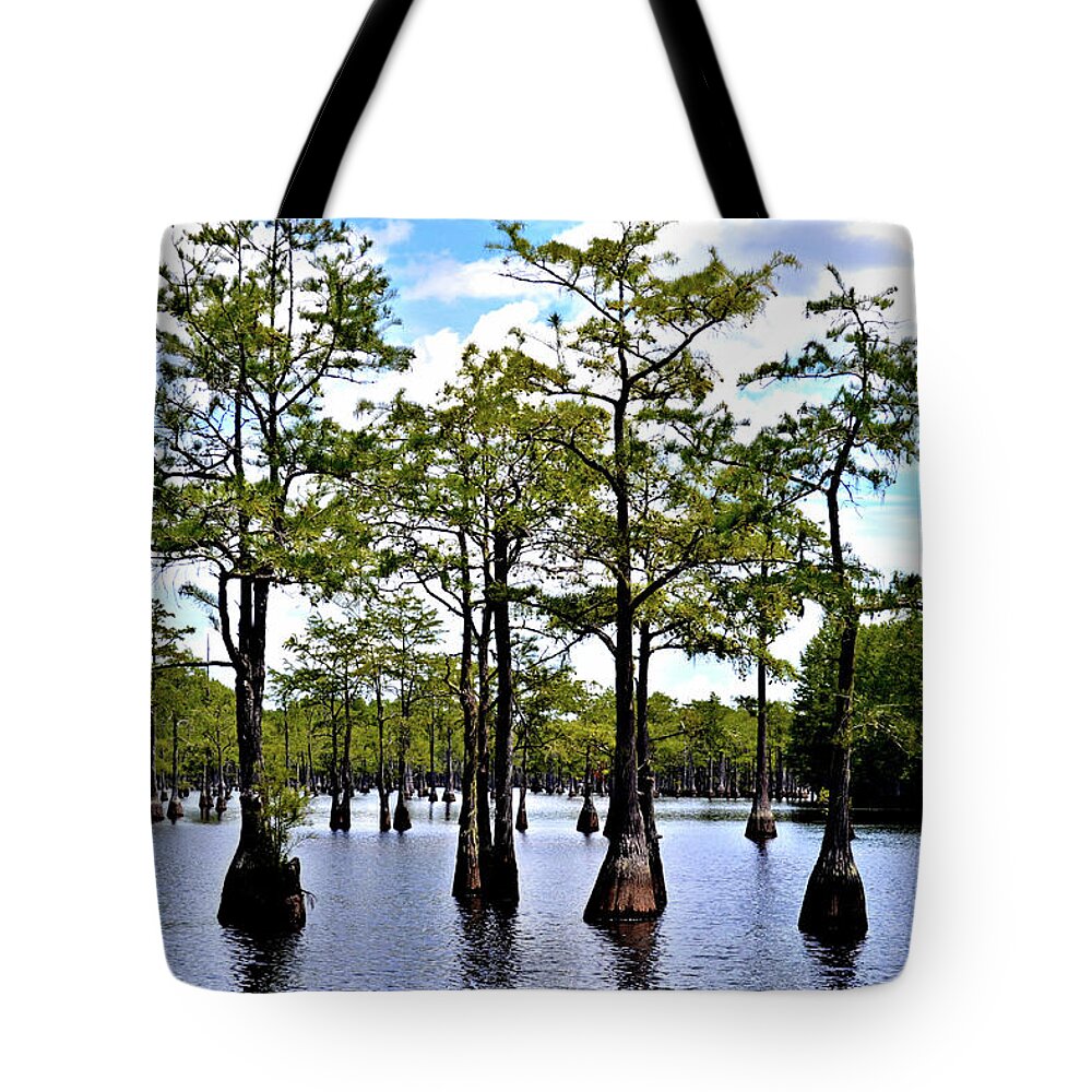 Cypress Trees Tote Bag featuring the photograph Cypress Trees of Georgia by Tara Potts