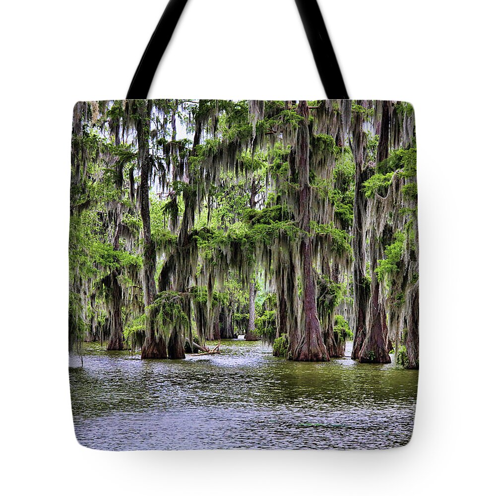 Lake Martin Tote Bag featuring the photograph Cypress Trees Swamps Louisiana by Chuck Kuhn