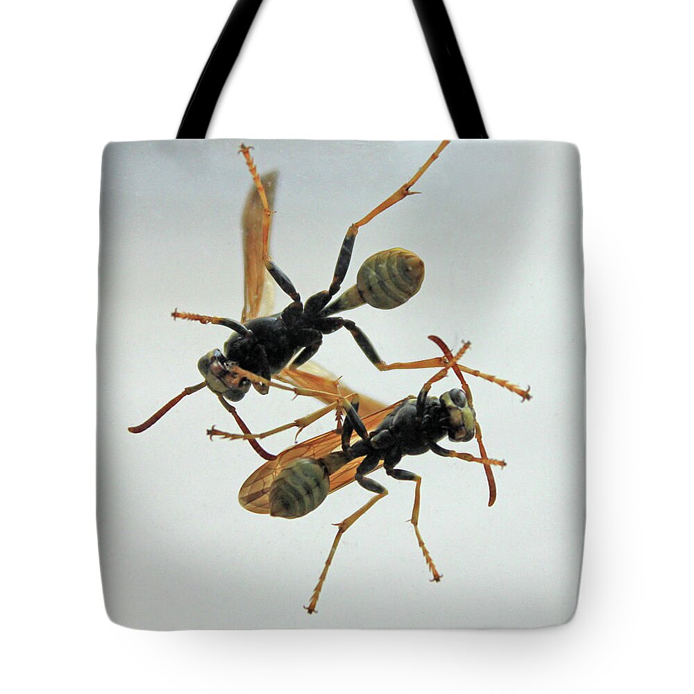 Insect Tote Bag featuring the photograph D2B6337 Wasps on Sonoma Mountain by Ed Cooper Photography