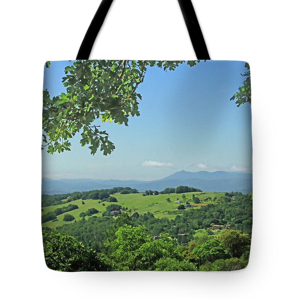 Oak Trees Tote Bag featuring the photograph D7B6319 Oak Trees Frame SF Bar Area View CA by Ed Cooper Photography