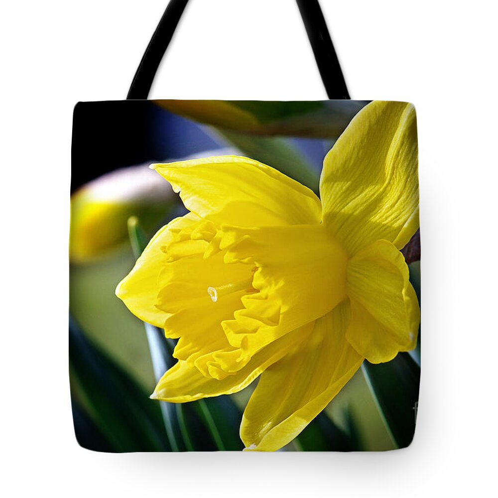 Daffodil Flower Tote Bag featuring the photograph Daffodil Flower Photo by Gwen Gibson
