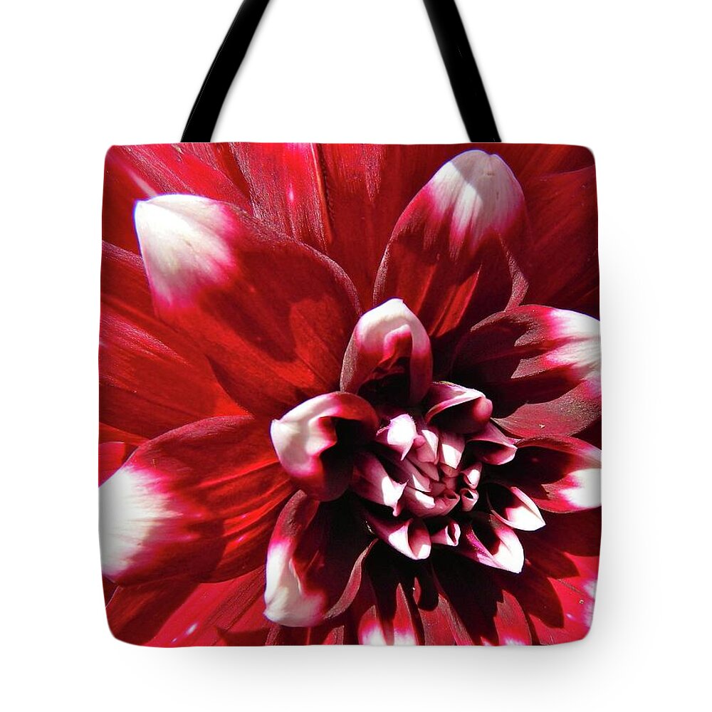 Floral Tote Bag featuring the photograph Dahlia Defined by Randy Rosenberger