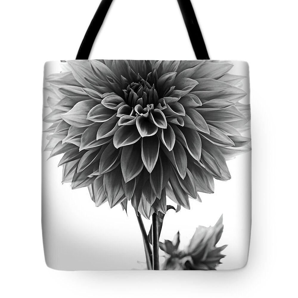 Dahlia Tote Bag featuring the photograph Dahlia In Black And White by Mark Alder