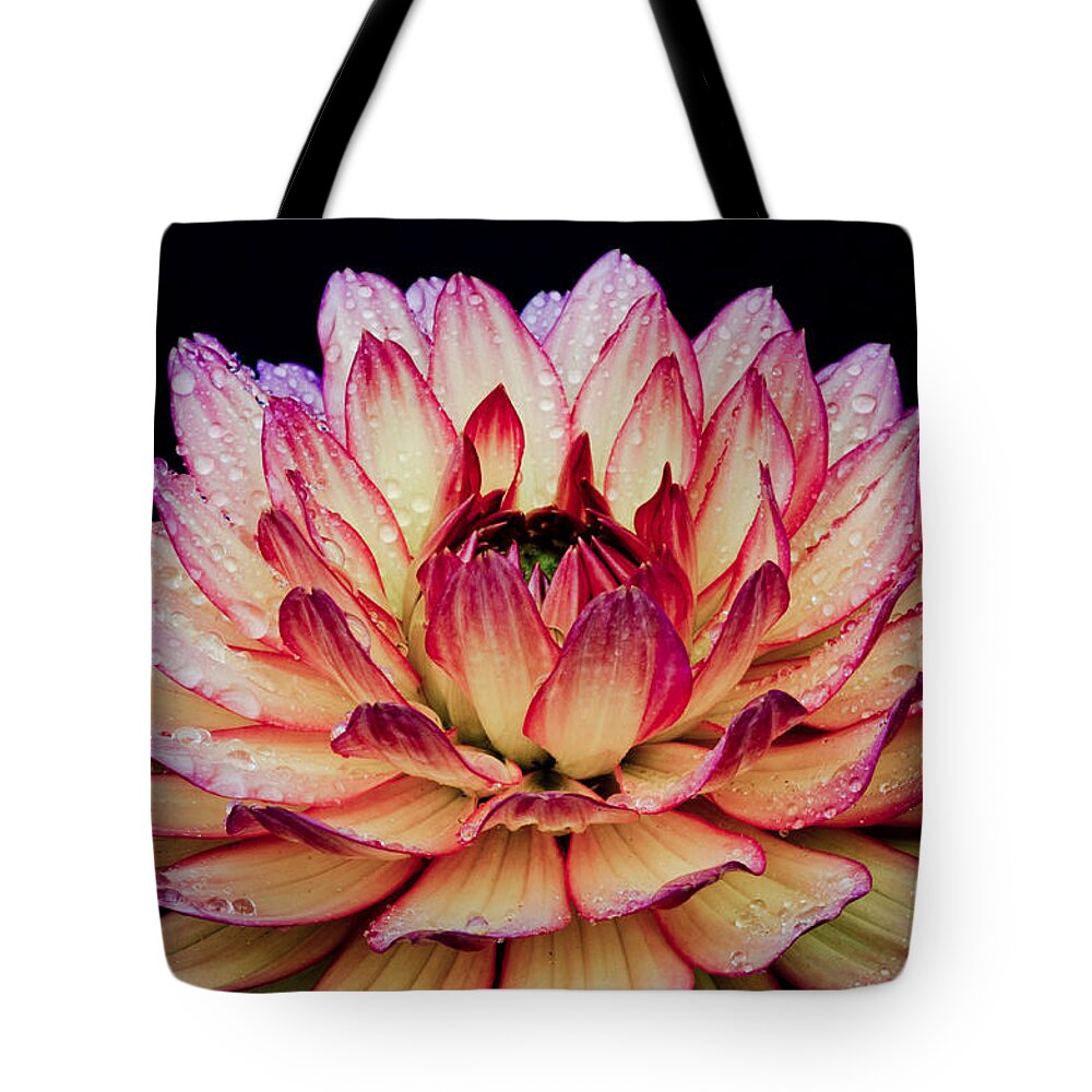 Flower Tote Bag featuring the photograph Dahlia Macro by Nick Boren
