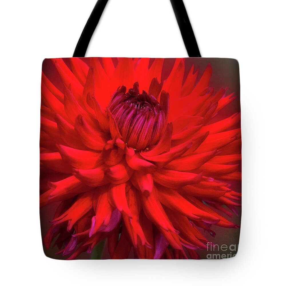 Flower Tote Bag featuring the photograph Dahlia Miss Hollyhill by Ann Jacobson