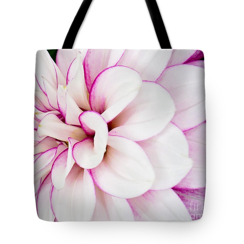 Dahlia Flower Photography Tote Bag featuring the photograph Dahlia Photo Print by Gwen Gibson